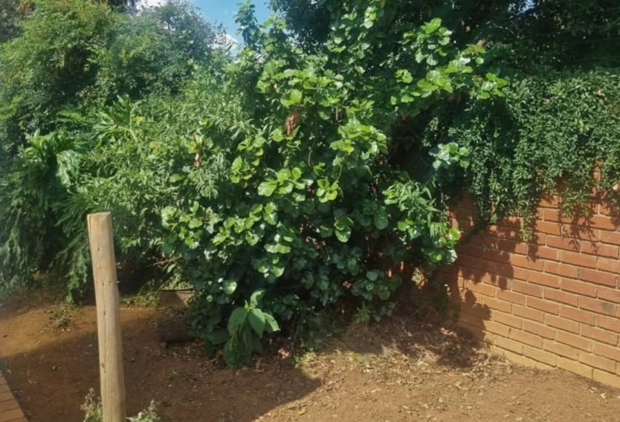 To Let 3 Bedroom Property for Rent in Noordwyk Gauteng