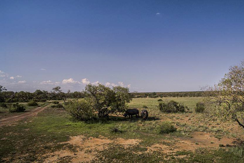  Bedroom Property for Sale in Dinokeng Game Reserve Gauteng