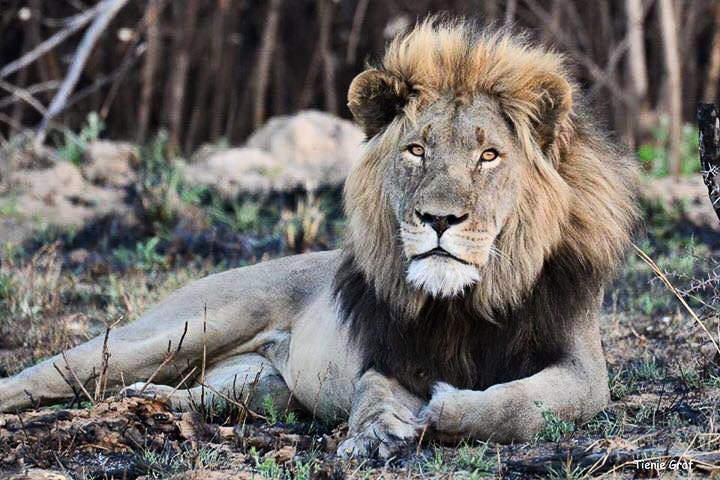  Bedroom Property for Sale in Dinokeng Game Reserve Gauteng