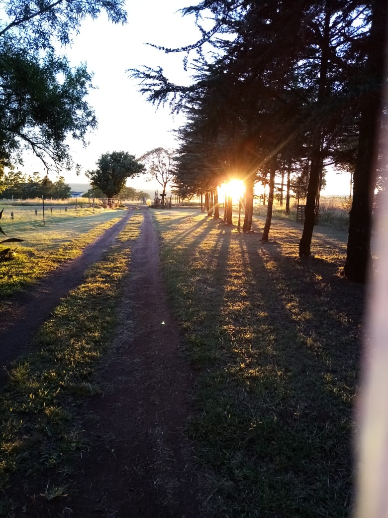 Bedroom Property for Sale in Bothas Geluk Gauteng