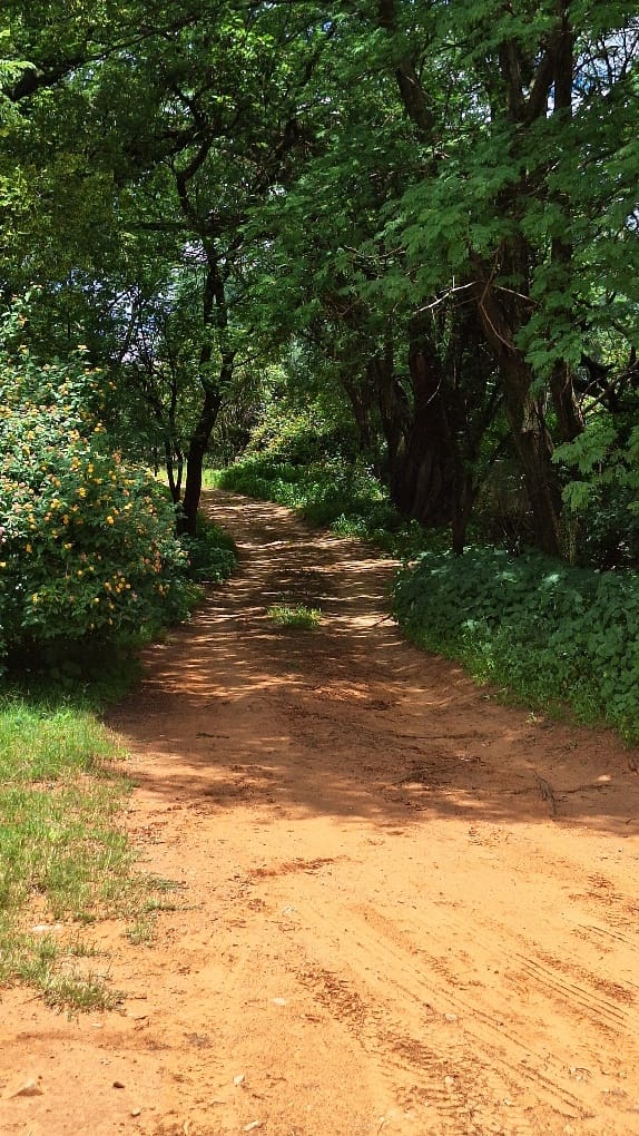  Bedroom Property for Sale in Roodepark Eco Estate Gauteng