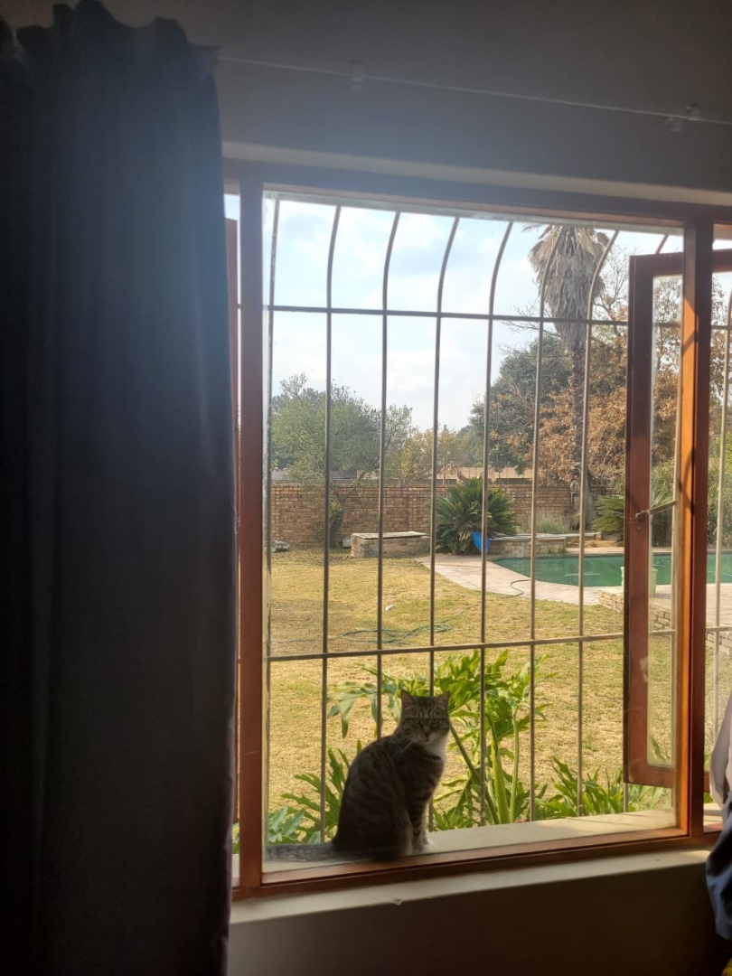 To Let 3 Bedroom Property for Rent in Benoni AH Gauteng