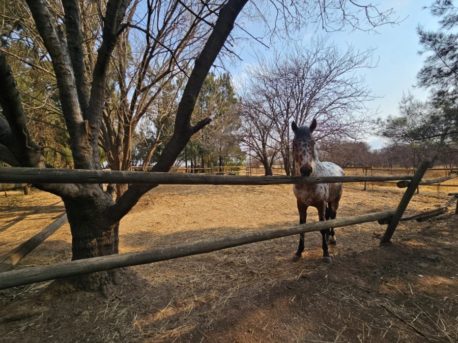 3 Bedroom Property for Sale in Roodia Gauteng