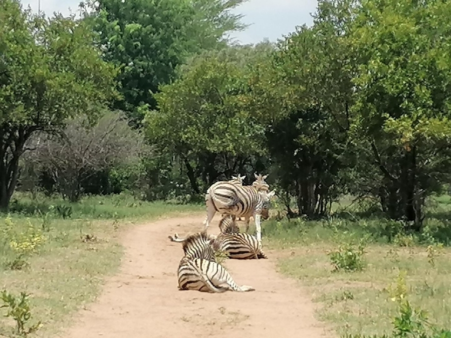  Bedroom Property for Sale in Dinokeng Game Reserve Gauteng