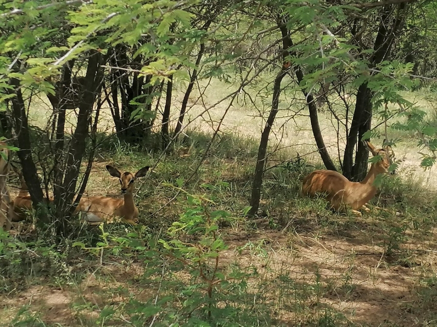  Bedroom Property for Sale in Dinokeng Game Reserve Gauteng