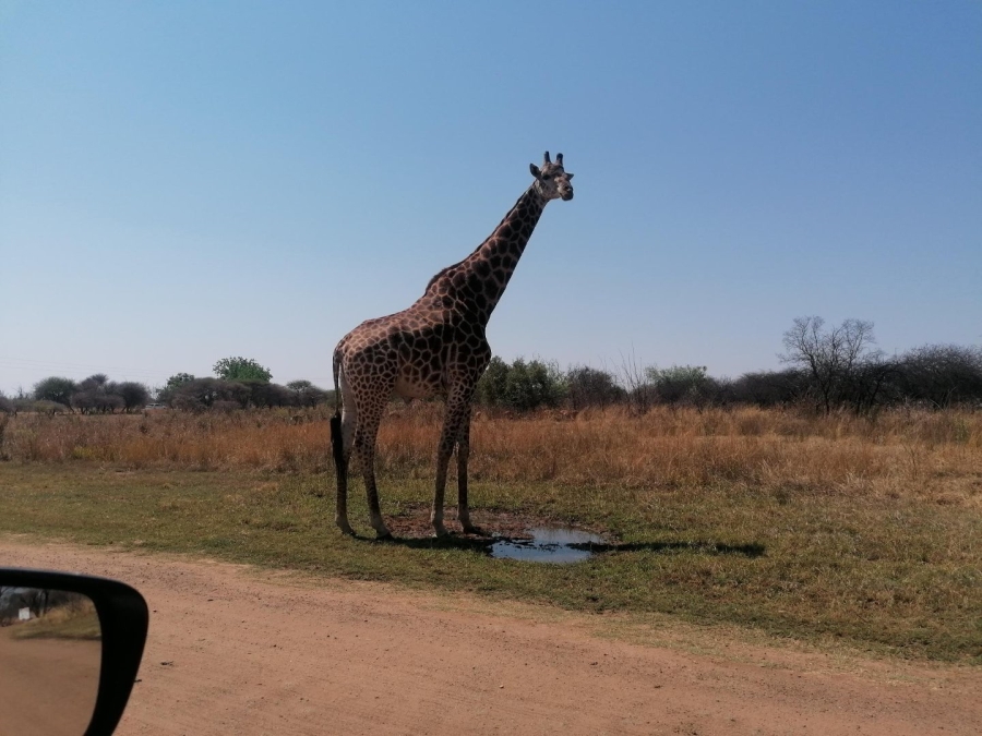  Bedroom Property for Sale in Dinokeng Game Reserve Gauteng