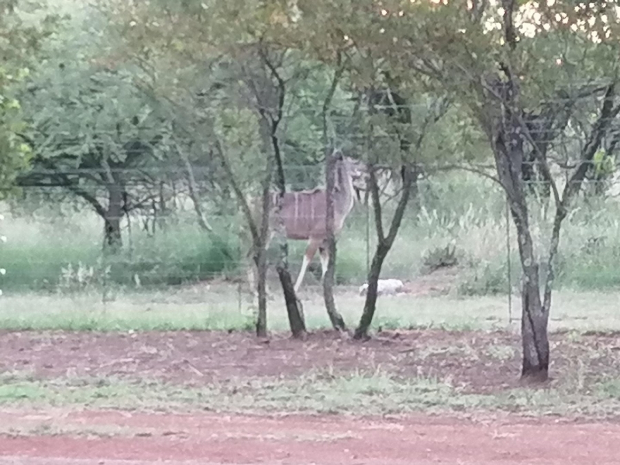  Bedroom Property for Sale in Dinokeng Game Reserve Gauteng