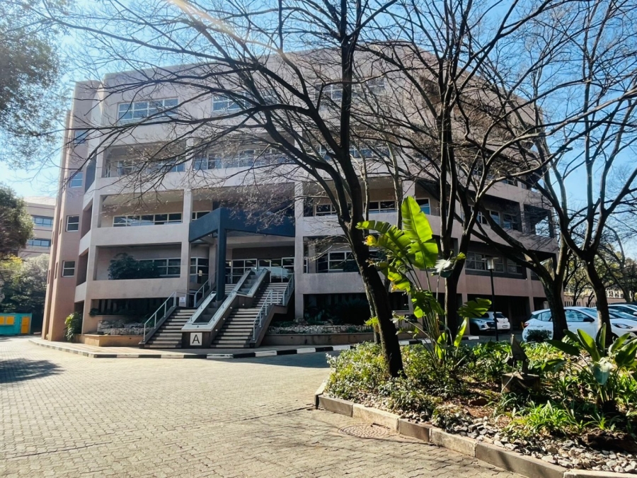 To Let commercial Property for Rent in Parktown Gauteng