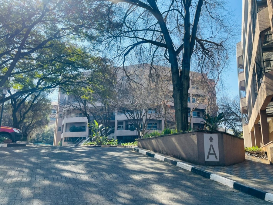 To Let commercial Property for Rent in Parktown Gauteng