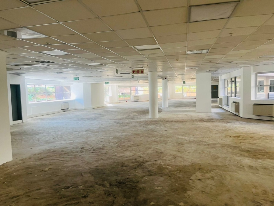 To Let commercial Property for Rent in Parktown Gauteng