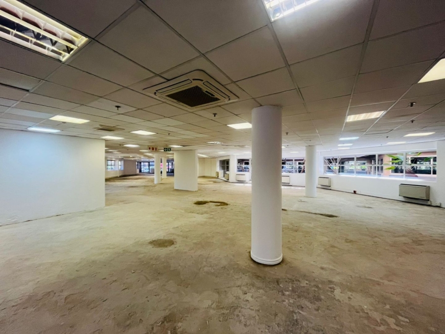 To Let commercial Property for Rent in Parktown Gauteng