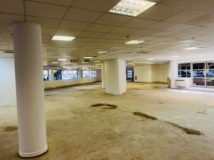 To Let commercial Property for Rent in Parktown Gauteng