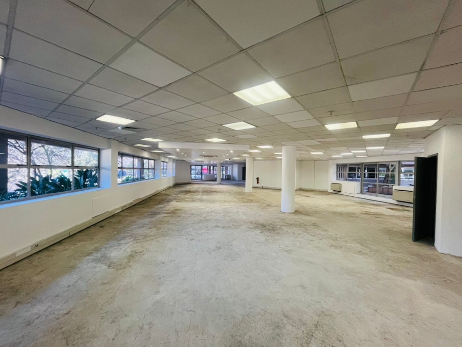 To Let commercial Property for Rent in Parktown Gauteng