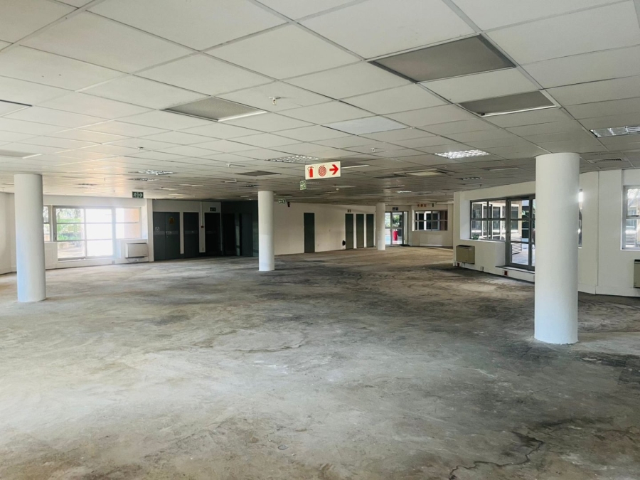 To Let commercial Property for Rent in Parktown Gauteng