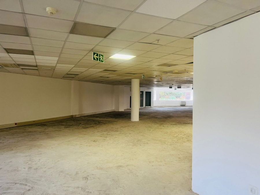 To Let commercial Property for Rent in Parktown Gauteng