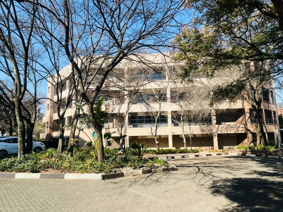 To Let commercial Property for Rent in Parktown Gauteng