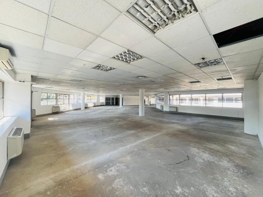 To Let commercial Property for Rent in Parktown Gauteng