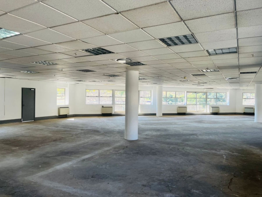 To Let commercial Property for Rent in Parktown Gauteng