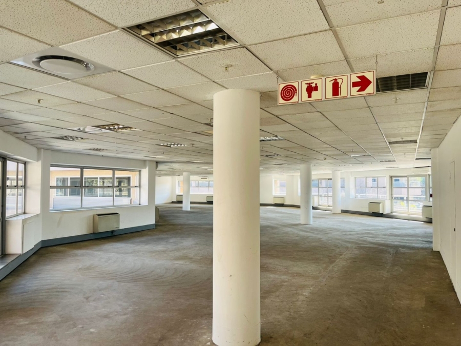 To Let commercial Property for Rent in Parktown Gauteng