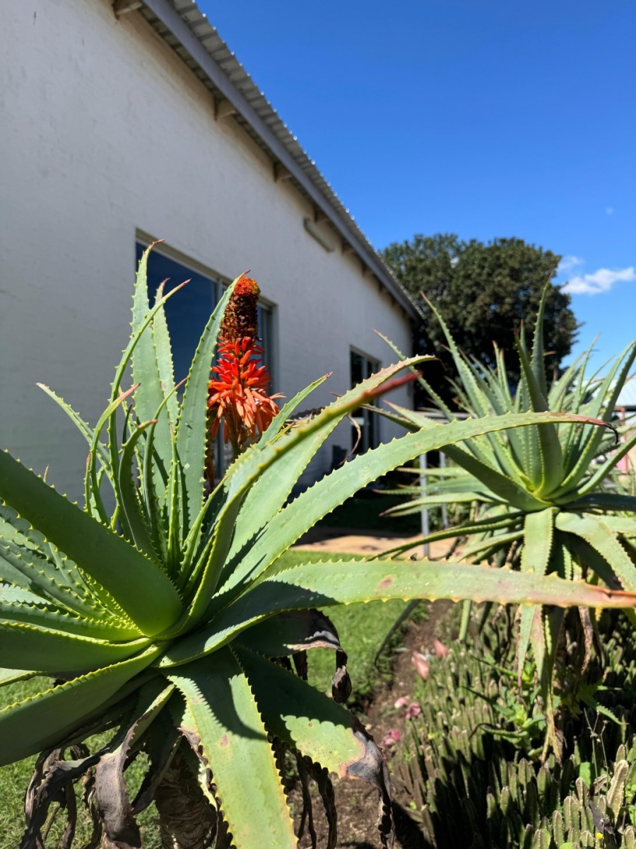 3 Bedroom Property for Sale in Erasmia Gauteng