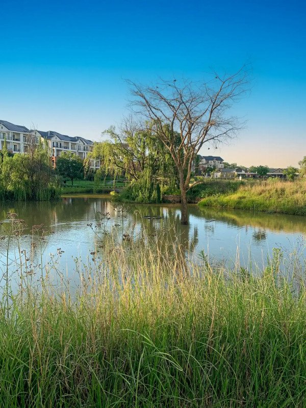 To Let 1 Bedroom Property for Rent in Linbro Park Gauteng