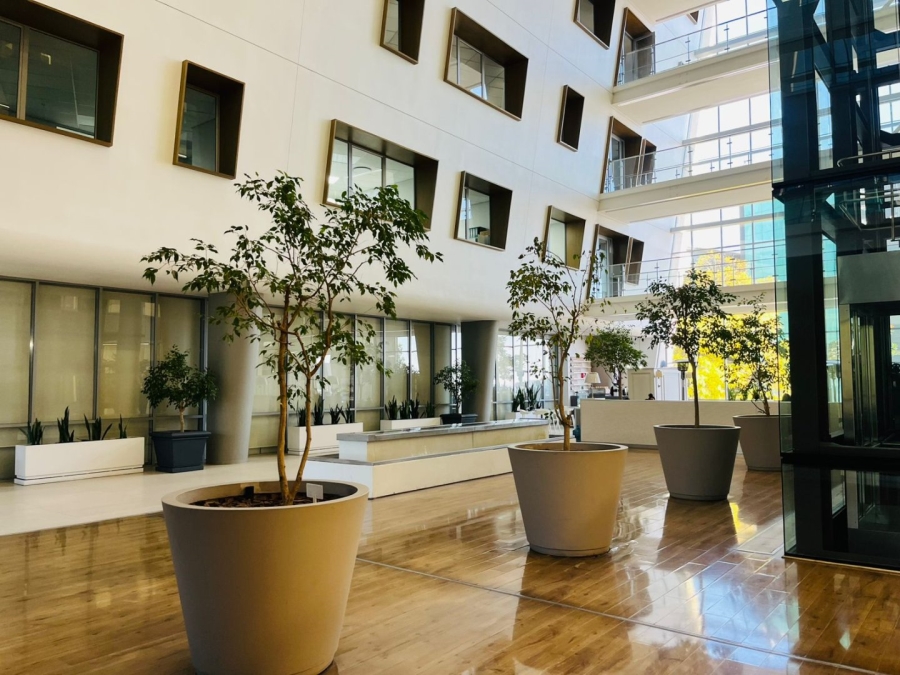 To Let commercial Property for Rent in Sandown Gauteng