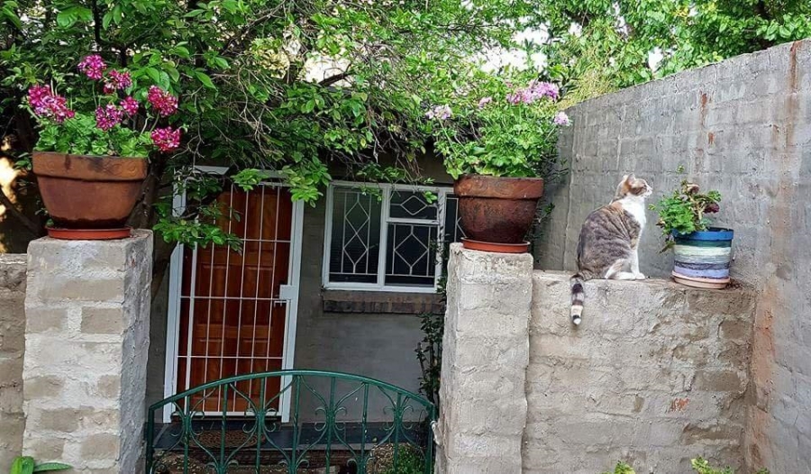 To Let  Bedroom Property for Rent in Vlakplaats Gauteng