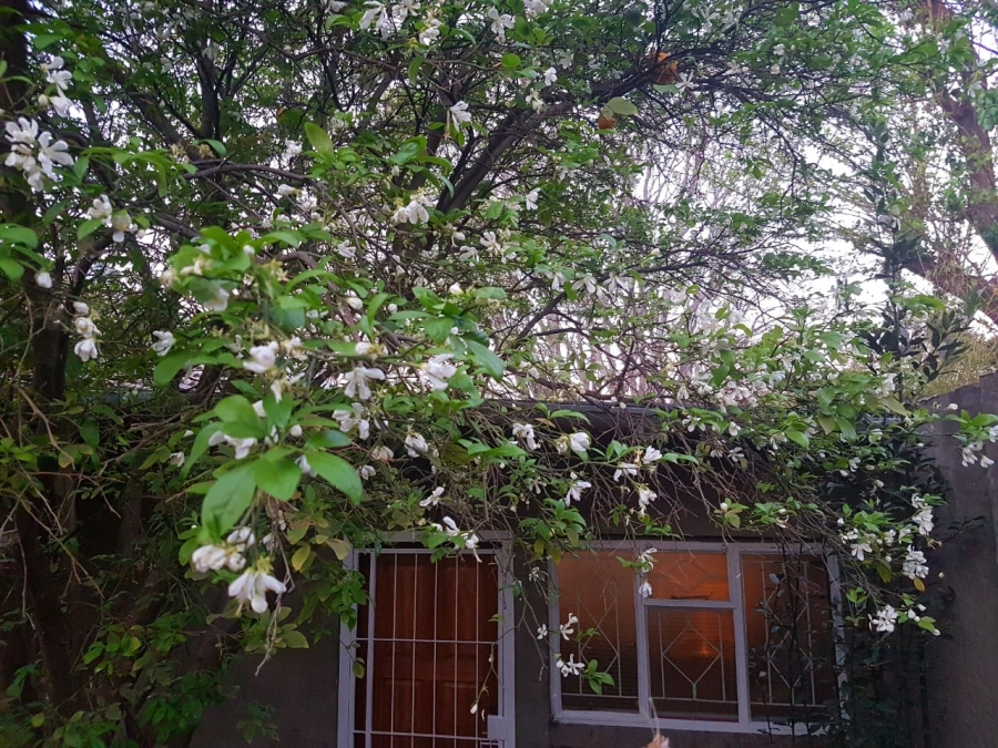 To Let  Bedroom Property for Rent in Vlakplaats Gauteng