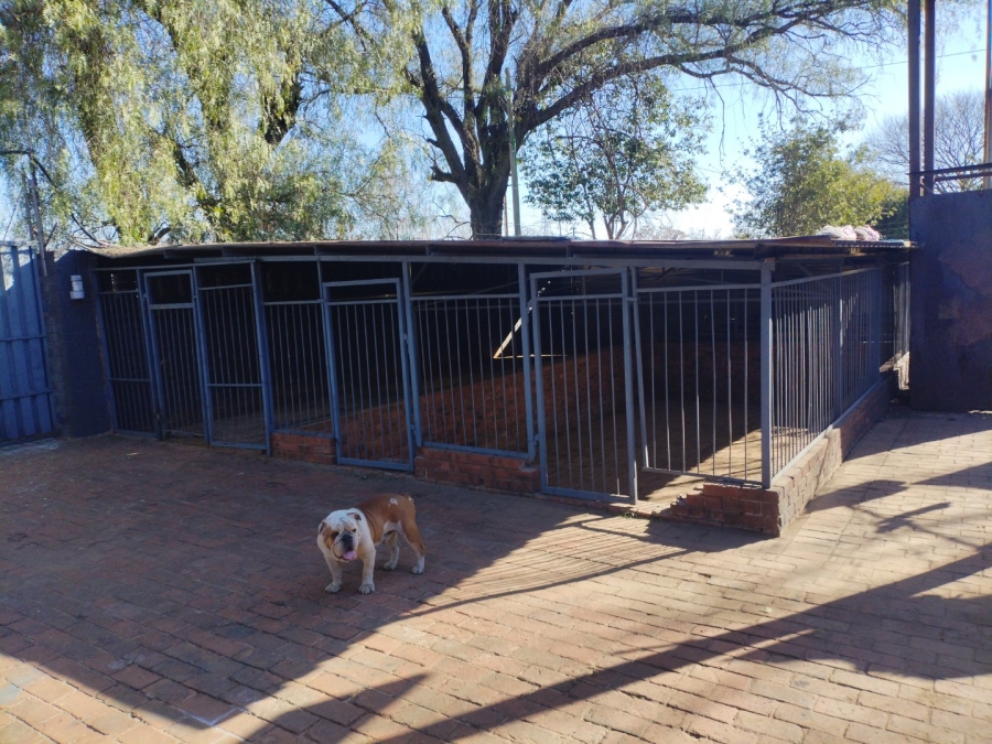 12 Bedroom Property for Sale in Petersfield Gauteng