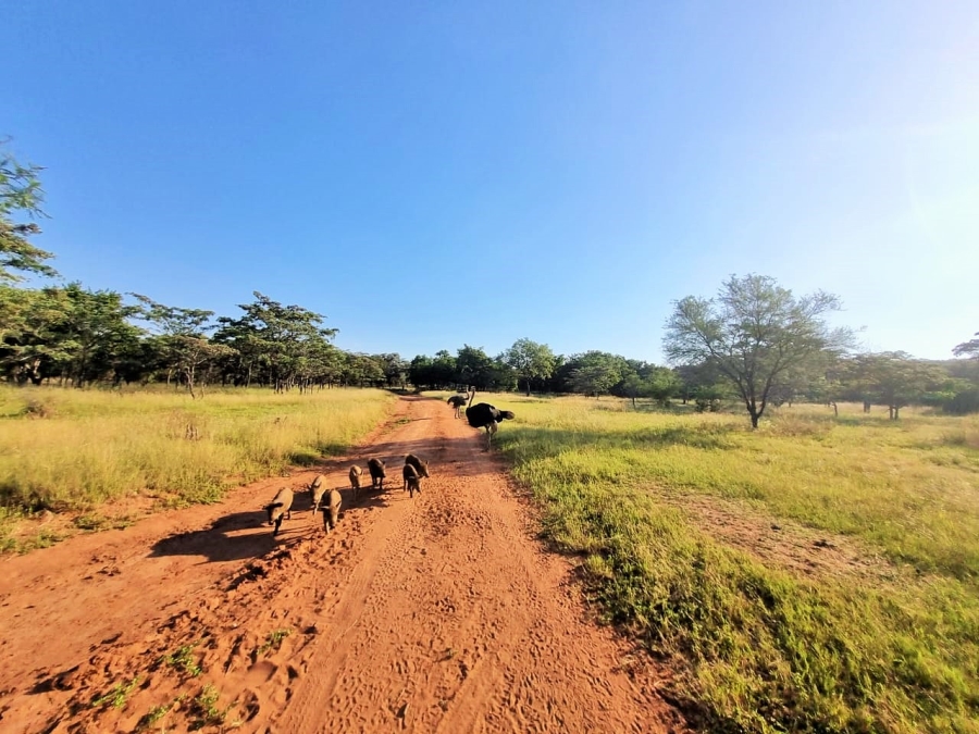 2 Bedroom Property for Sale in Cullinan Rural Gauteng