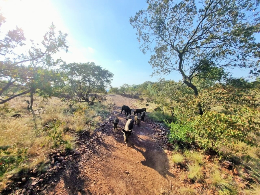 2 Bedroom Property for Sale in Cullinan Rural Gauteng
