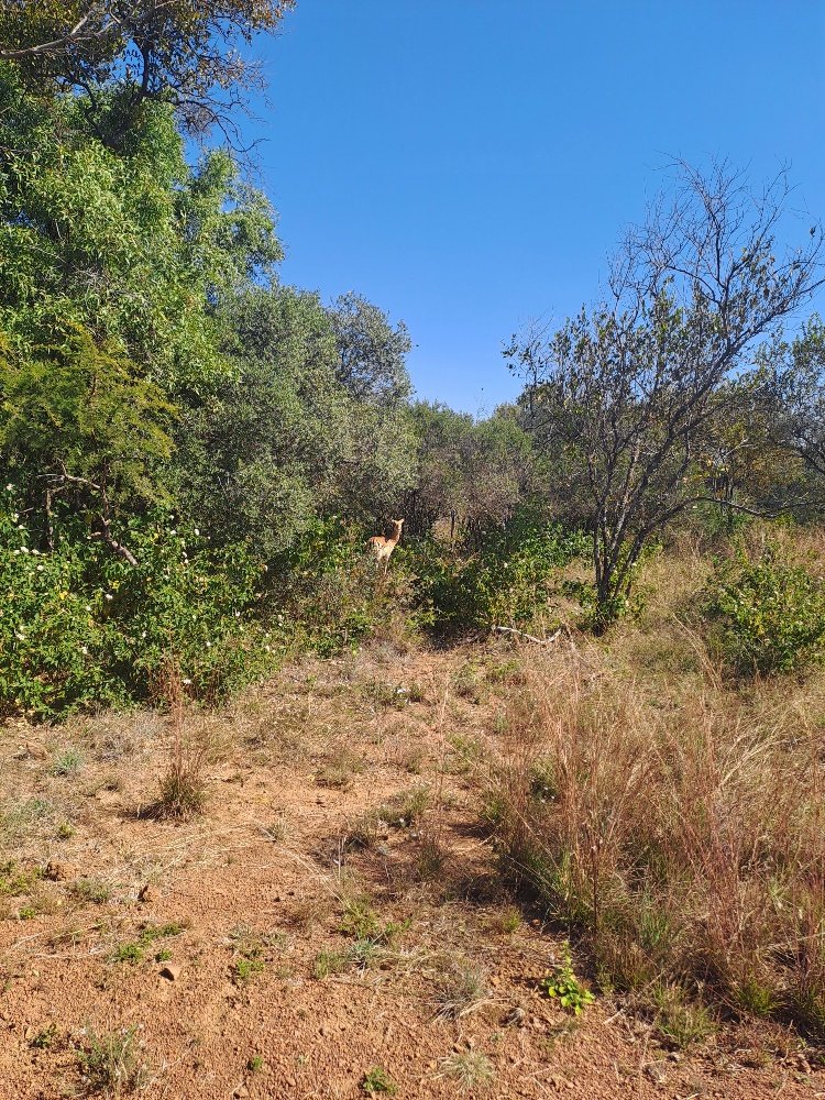  Bedroom Property for Sale in Dinokeng Game Reserve Gauteng