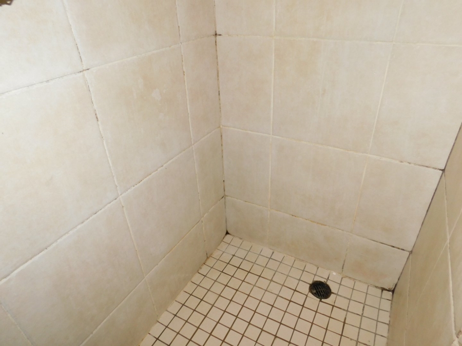 To Let 3 Bedroom Property for Rent in Hatfield Gauteng
