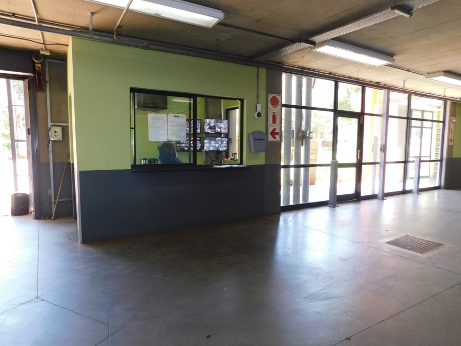 To Let 3 Bedroom Property for Rent in Hatfield Gauteng