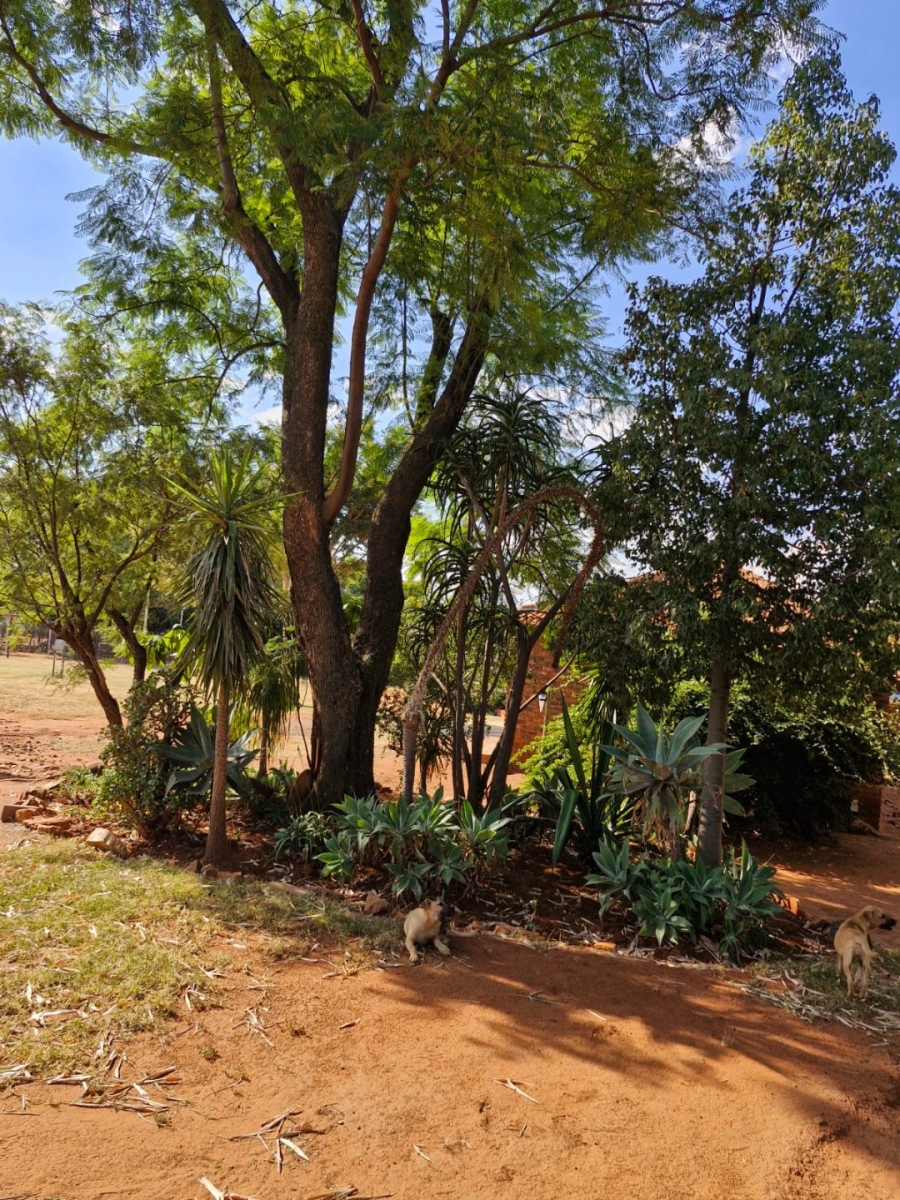 To Let commercial Property for Rent in Doreg A H Gauteng