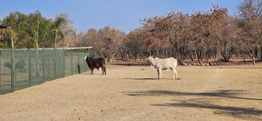 Commercial Property for Sale in Grootvaly AH Gauteng
