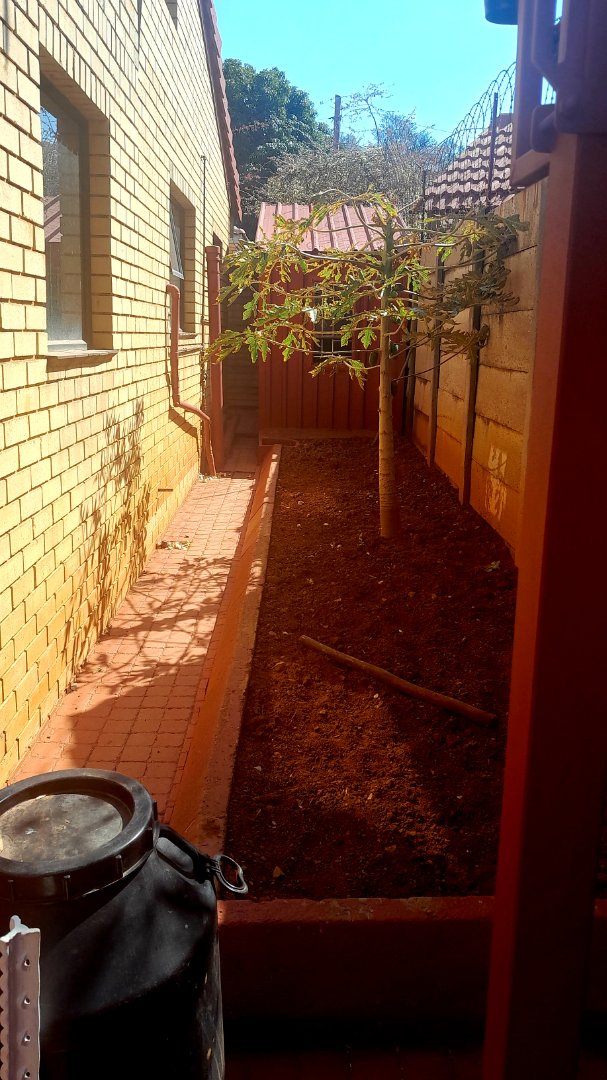 5 Bedroom Property for Sale in Danville Gauteng