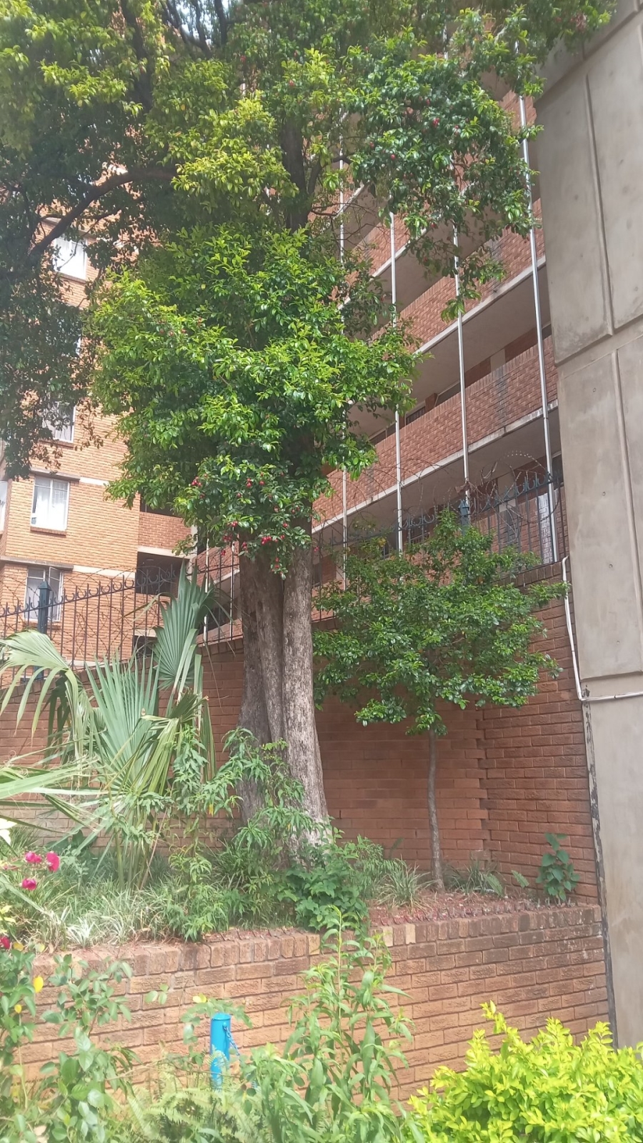 To Let 2 Bedroom Property for Rent in Pretoria Central Gauteng