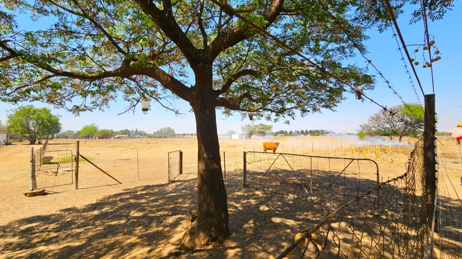 5 Bedroom Property for Sale in Roodia Gauteng