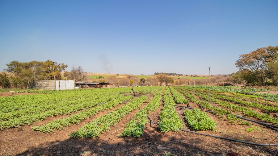 Commercial Property for Sale in Mont Lorraine Ah Gauteng