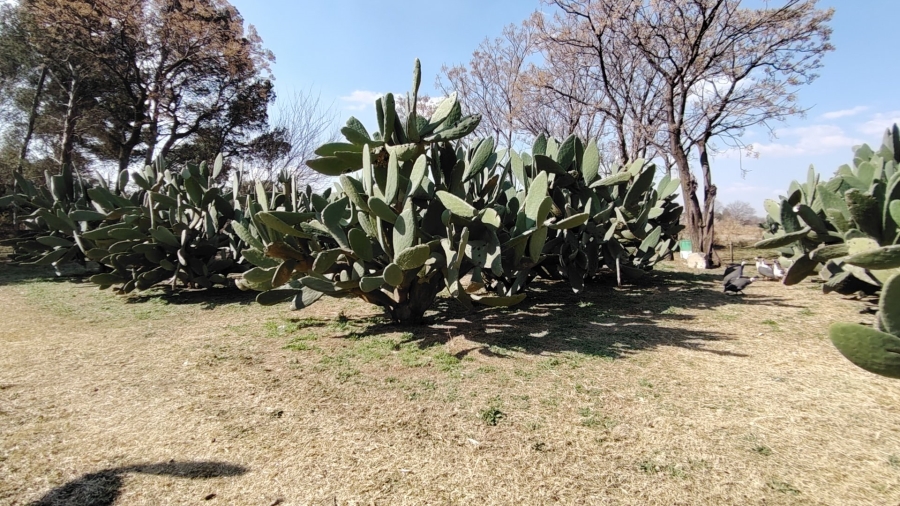 4 Bedroom Property for Sale in Mooilande Gauteng