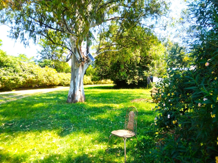 To Let 1 Bedroom Property for Rent in Crowthorne AH Gauteng