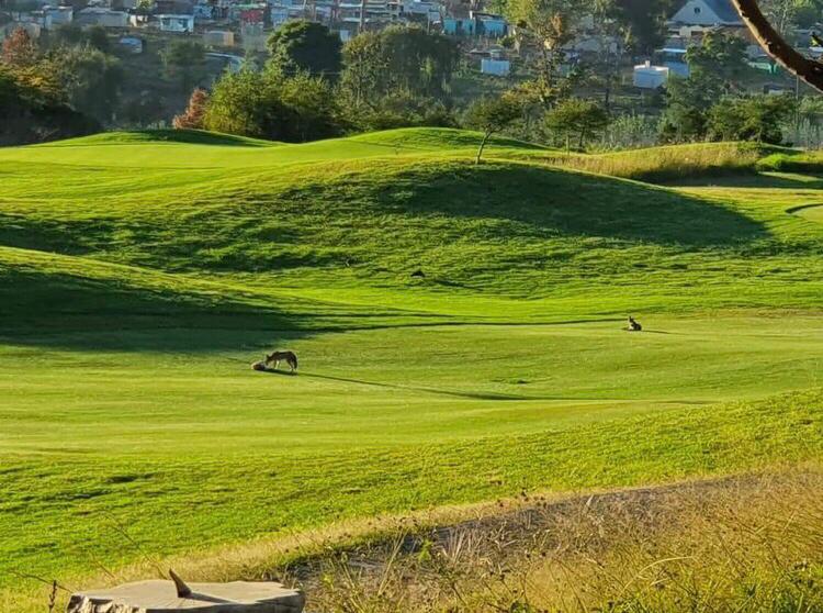 To Let 1 Bedroom Property for Rent in Jackal Creek Golf Estate Gauteng