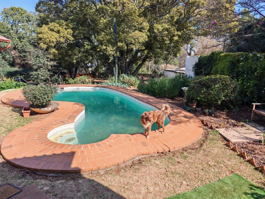 6 Bedroom Property for Sale in Rosebank Gauteng