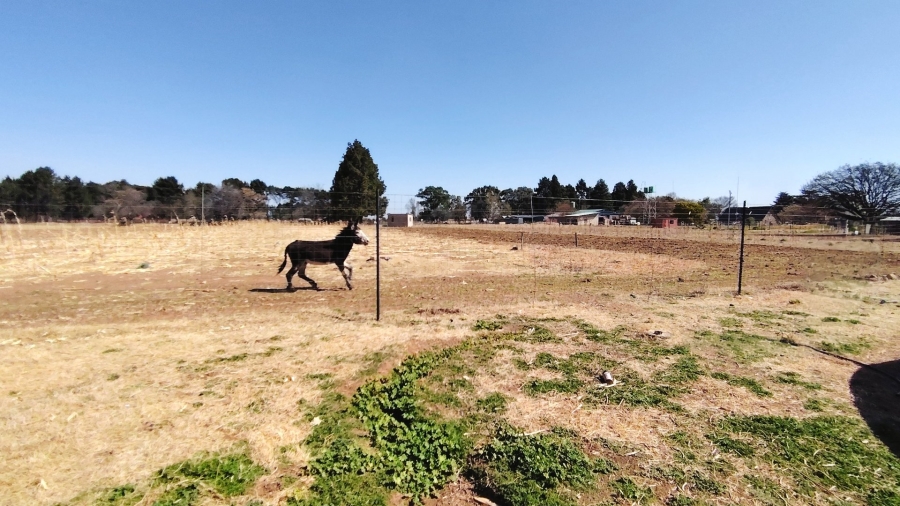  Bedroom Property for Sale in Buyscelia Gauteng