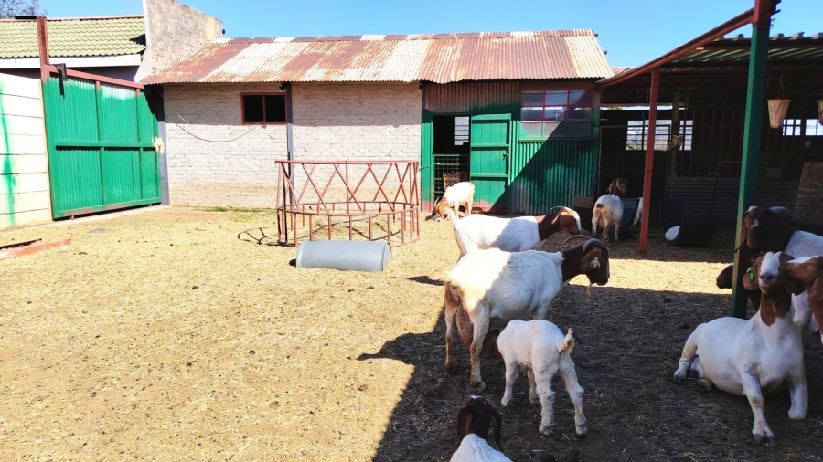  Bedroom Property for Sale in Buyscelia Gauteng