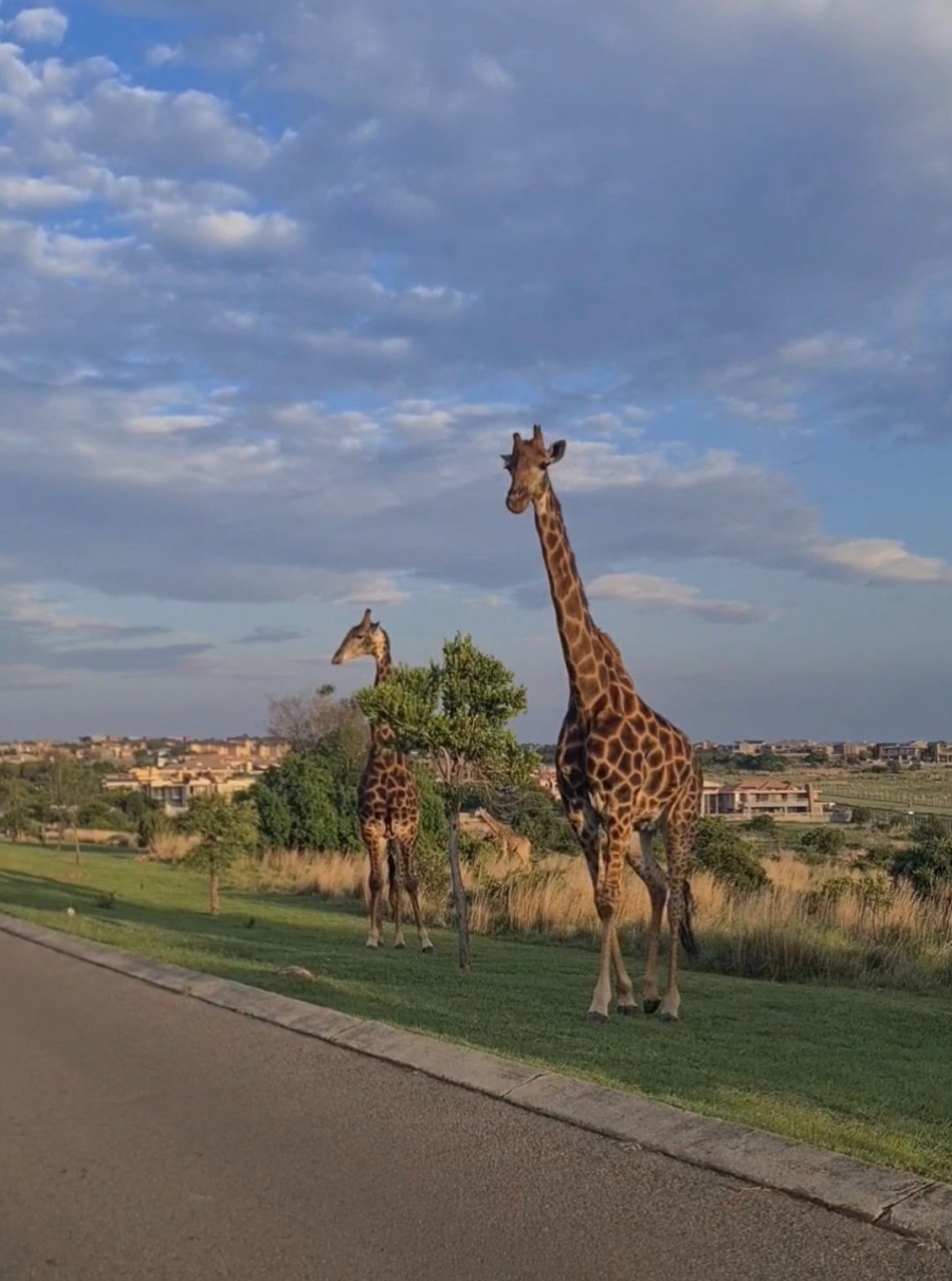  Bedroom Property for Sale in Meyersdal Eco Estate Gauteng