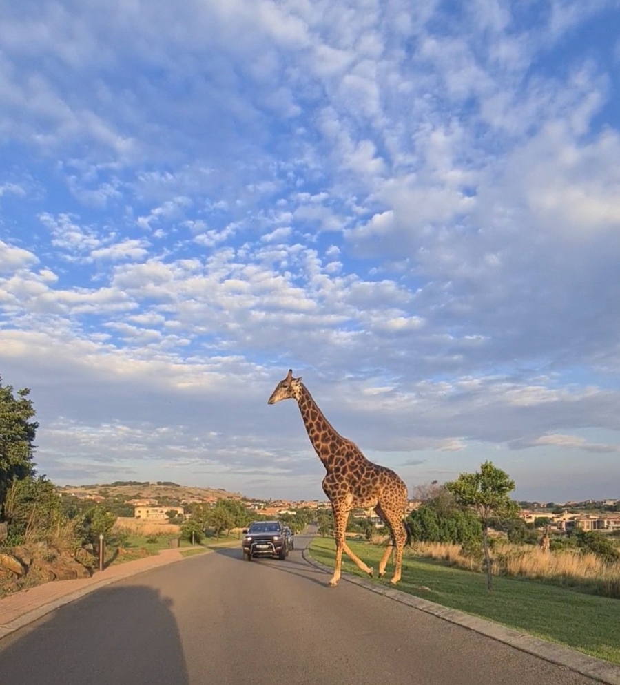  Bedroom Property for Sale in Meyersdal Eco Estate Gauteng