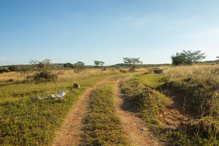 Commercial Property for Sale in Fairfield Gauteng