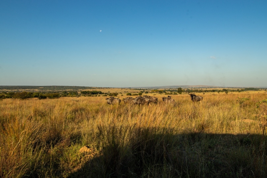 Commercial Property for Sale in Fairfield Gauteng